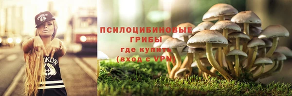 соль ск Пролетарск