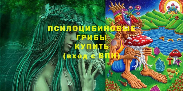 соль ск Пролетарск
