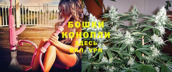 ALPHA PVP Приозерск