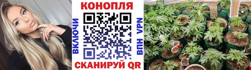 купить наркотик  Динская  Каннабис AK-47 